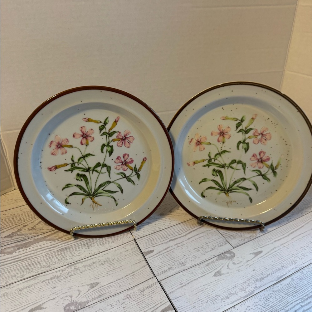 Pink Floral Stoneware Plate Pair with Brown Rim -8in